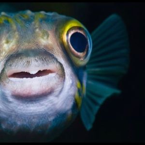 Meet your Posher, Lyza